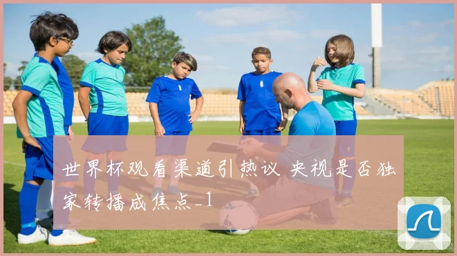 世界杯观看渠道引热议 央视是否独家转播成焦点_1