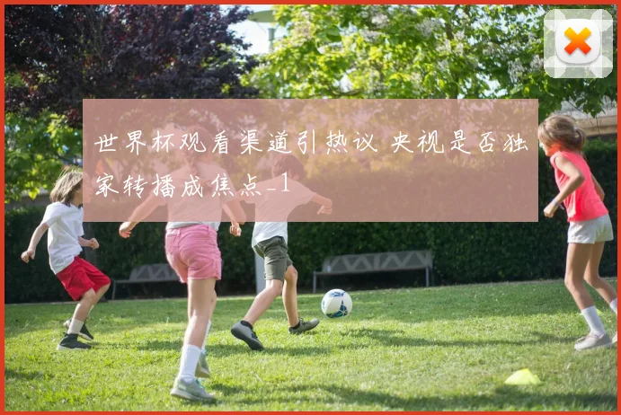 世界杯观看渠道引热议 央视是否独家转播成焦点_1